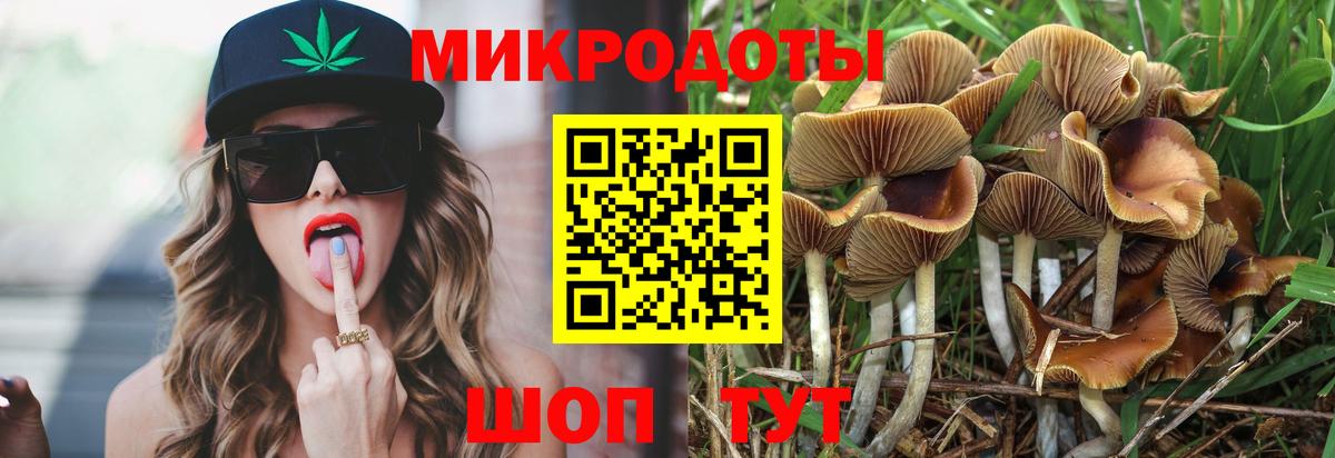 Галлюциногенные грибы GOLDEN TEACHER Людиново